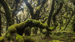  UNA NAU Markenagentur